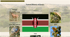 Desktop Screenshot of ngkenya.com