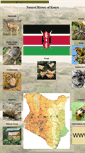 Mobile Screenshot of ngkenya.com