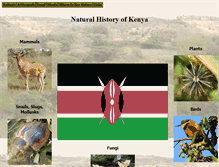 Tablet Screenshot of ngkenya.com